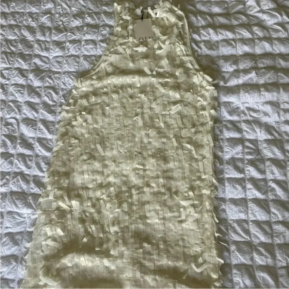 Zara metallic fringe mini dress - Picture 6 of 9